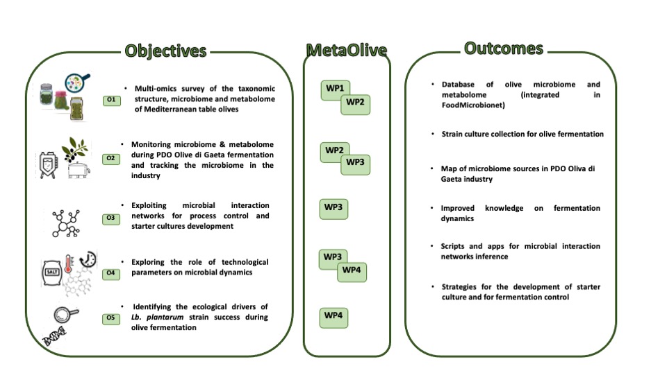 metaolive activities